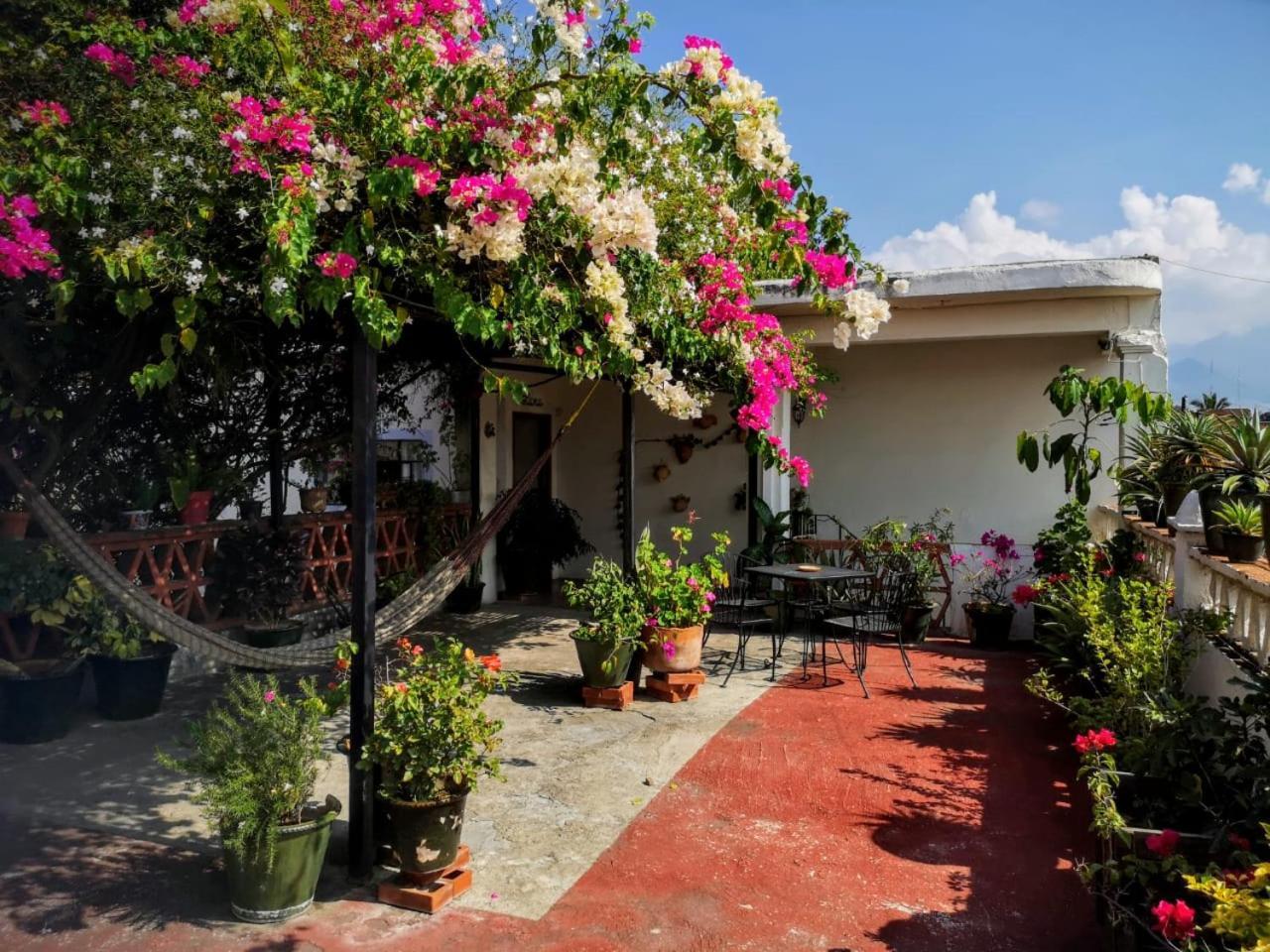 El Diablo Y La Sandia B&B Oaxaca Bagian luar foto