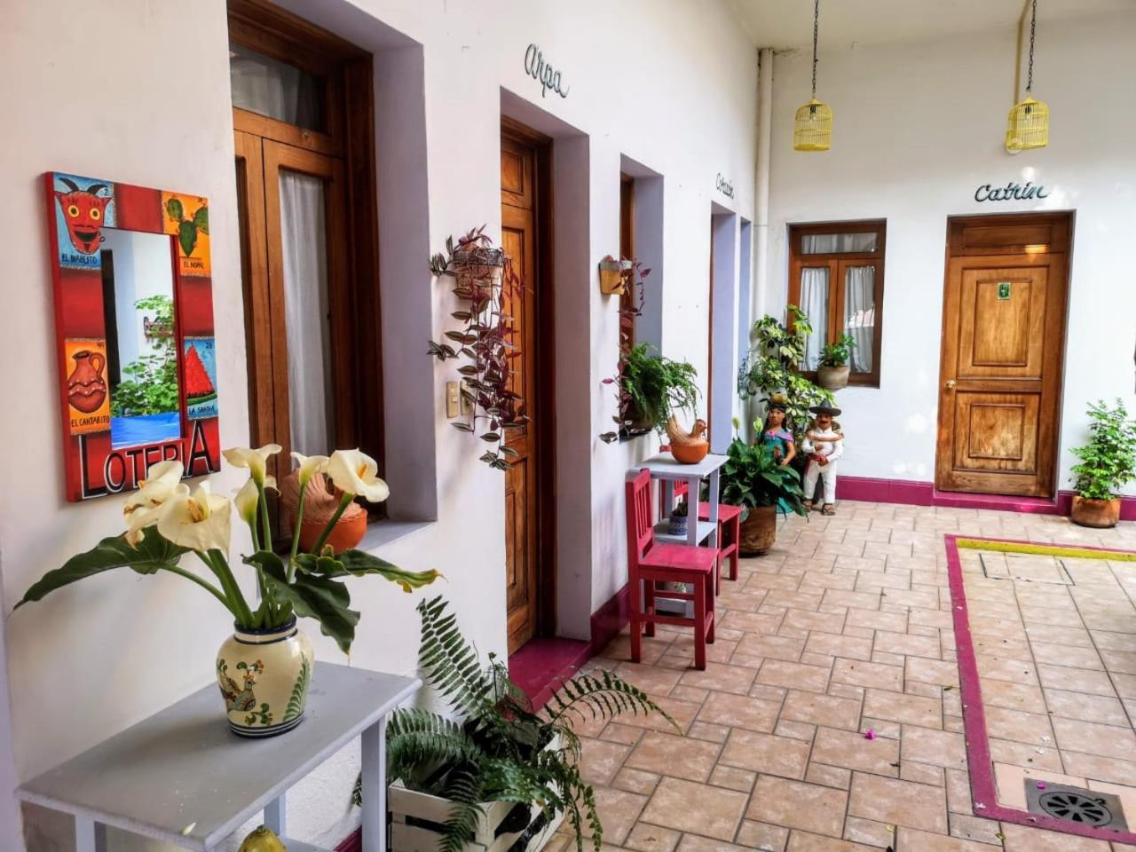 El Diablo Y La Sandia B&B Oaxaca Bagian luar foto